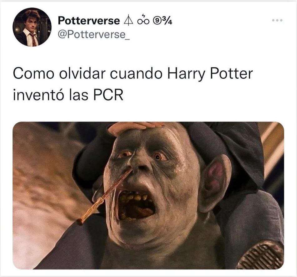 _Potterverse 4: 000% e. ) OPattervers Como olvidar cuando Harry Potter